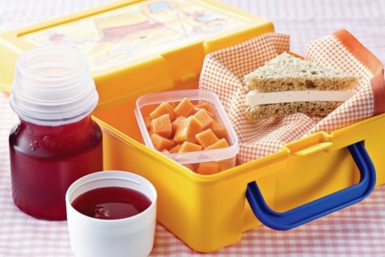 Saiba como preparar um lanche escolar saudável e nutritivo para seu filho