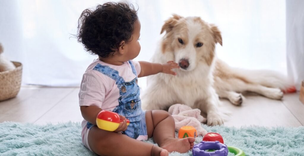 Como introduzir um novo animal de estimação em uma casa com crianças?